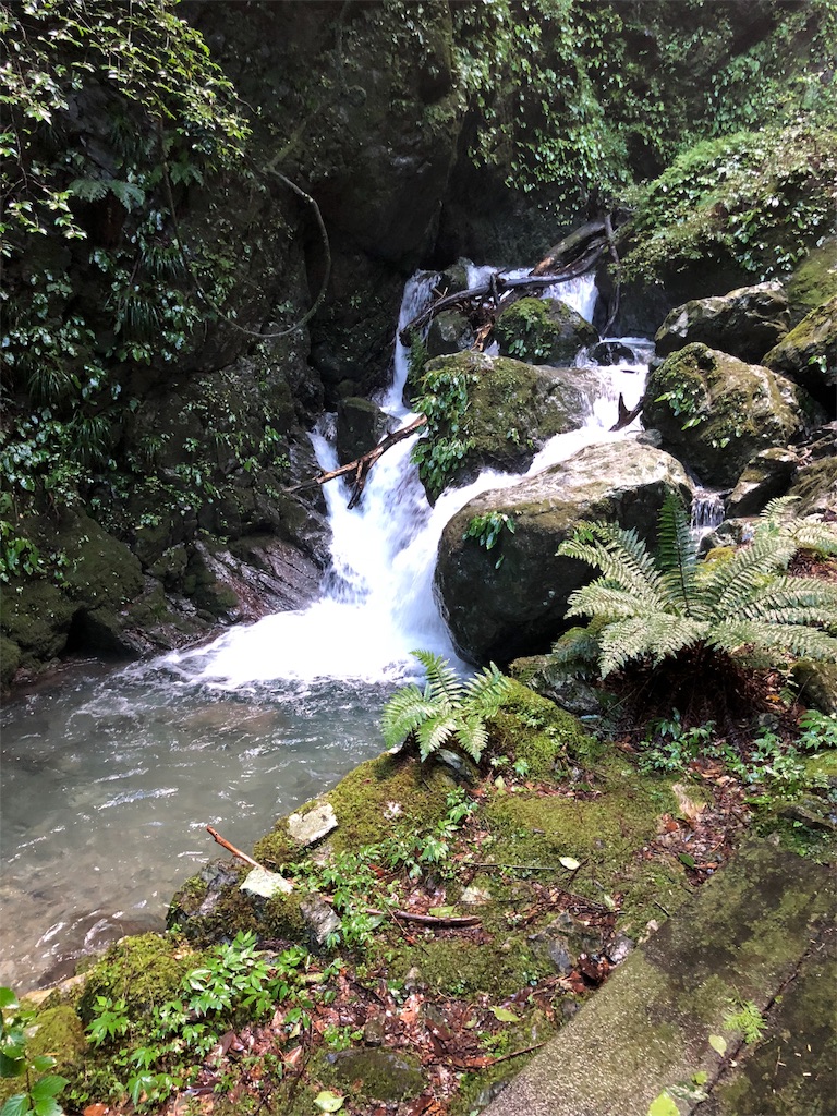 f:id:Wondersofnature:20180828215114j:image f:id:Wondersofnature:20180828215114j:image