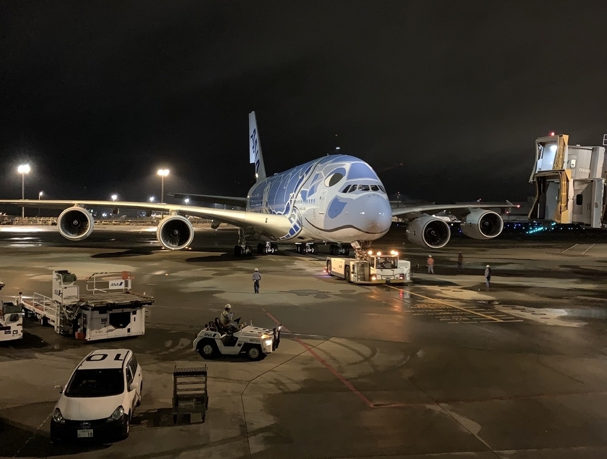 2/18着✨3機まとめフライングホヌ/AirbusA380/ANA 1/350 2/18着✨3機まとめフライングホヌ/AirbusA380/ANA 1/350 2/18着