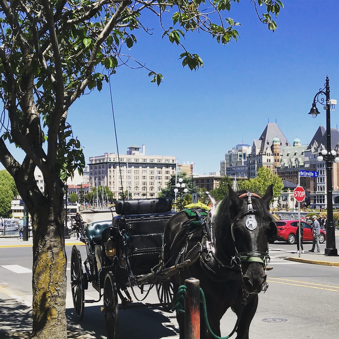 f:id:WorldTrip:20190611124640j:plain