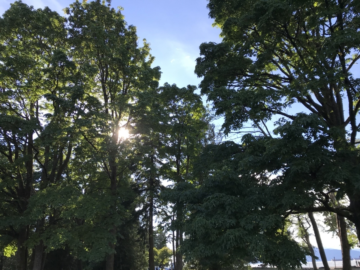 f:id:WorldTrip:20190611130851j:plain
