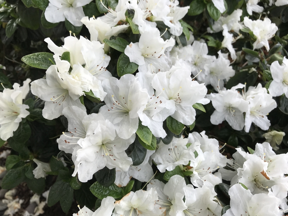 f:id:WorldTrip:20190904212916j:plain