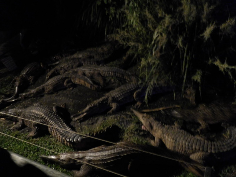 f:id:WorldWorldWorld:20151125205553j:plain