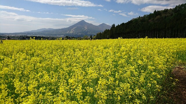 f:id:WorldWorldWorld:20160504211414j:plain f:id:WorldWorldWorld:20160504211414j:plain