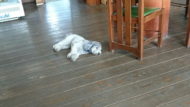 f:id:WorldWorldWorld:20160712000625j:plain f:id:WorldWorldWorld:20160712000625j:plain