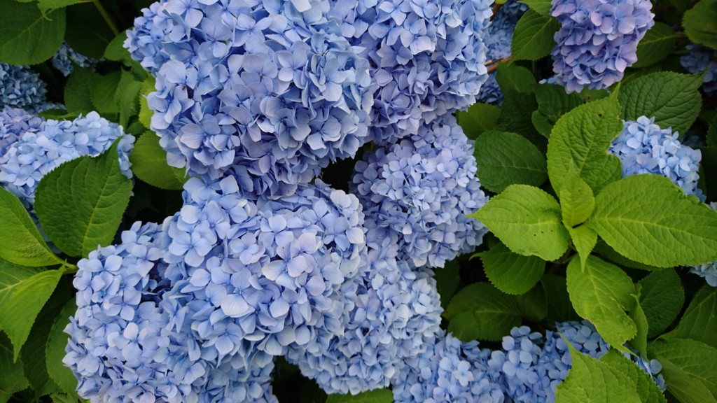 f:id:WorldWorldWorld:20160718100727j:plain f:id:WorldWorldWorld:20160718100727j:plain