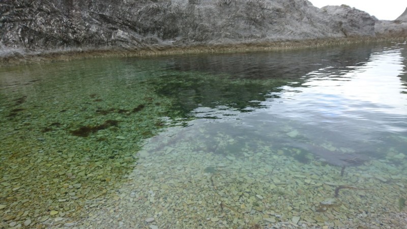 きれいな水