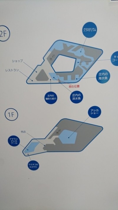 加茂水族館