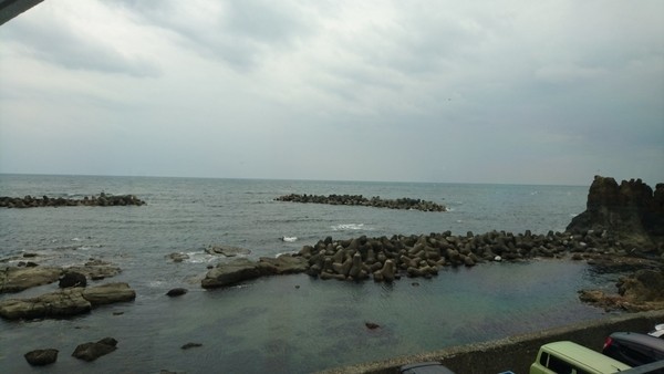 加茂水族館