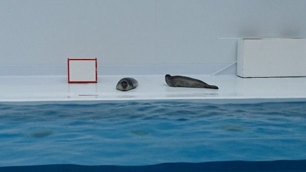 加茂水族館