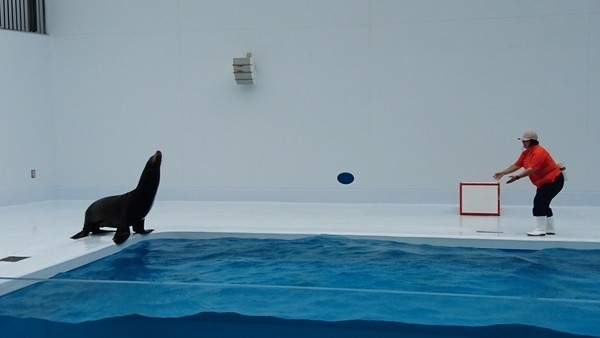 加茂水族館