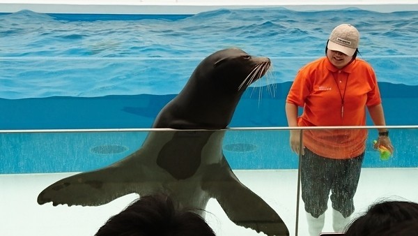 加茂水族館