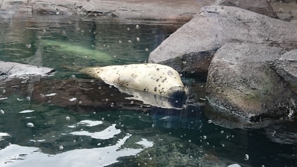 加茂水族館