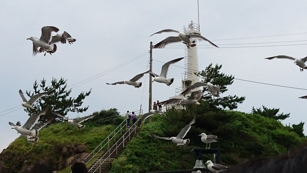 加茂水族館