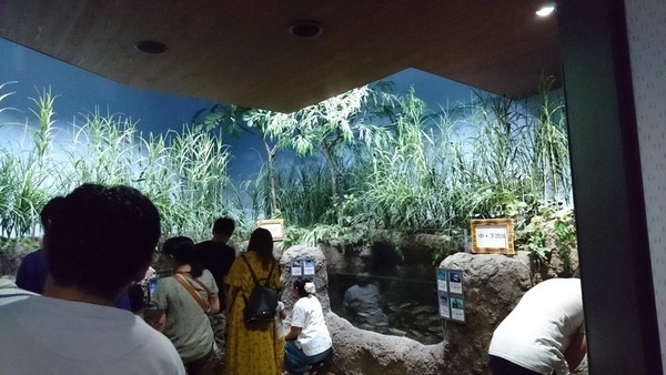 加茂水族館