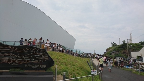 加茂水族館