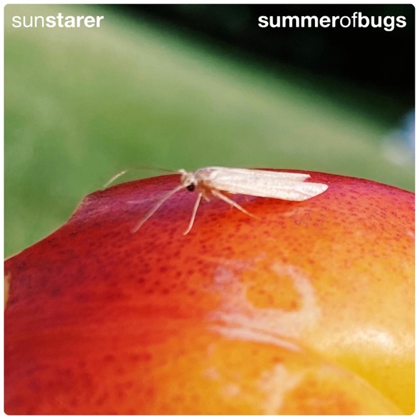 アルバム感想 温