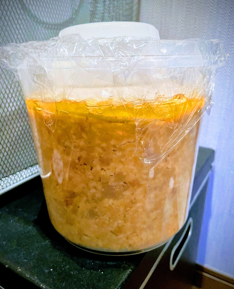 仕込んで2週間後ぐらいの状態 | はじめての味噌作り 仕込んで2週間後ぐらいの状態 | はじめての味噌作り