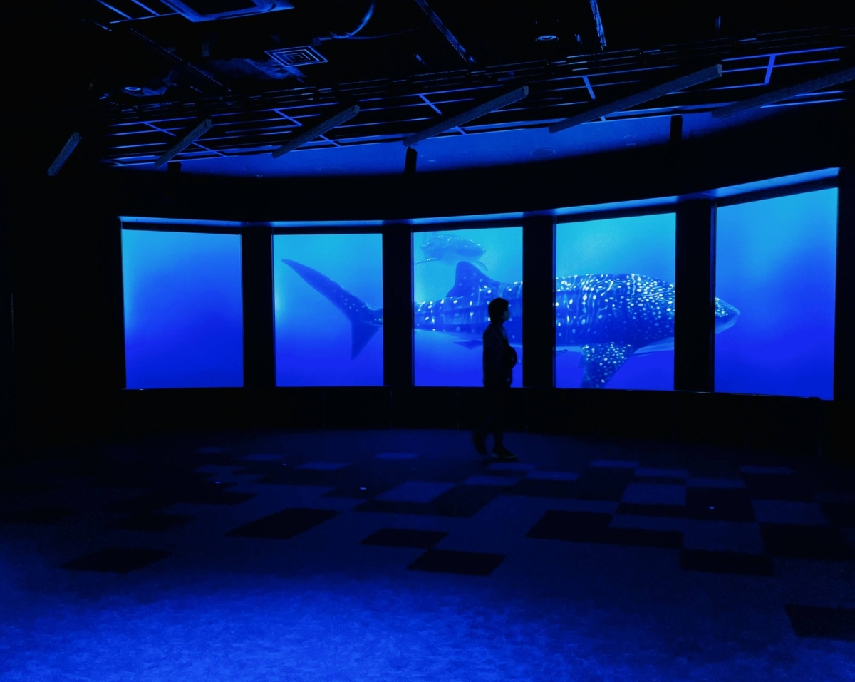 意外とよかった！ 沖縄の「DMMかりゆし水族館」