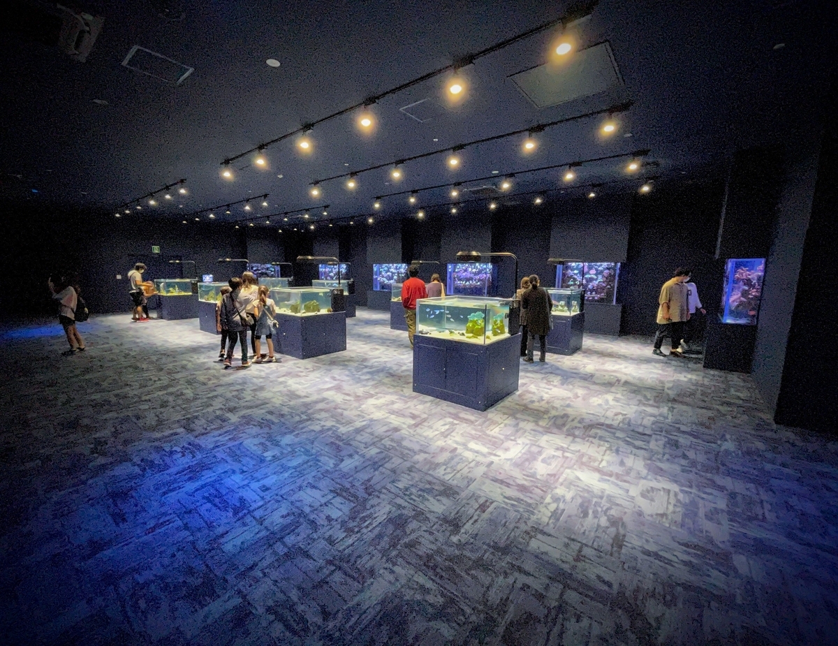 意外とよかった！ 沖縄の「DMMかりゆし水族館」