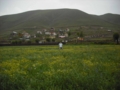 20100516153818