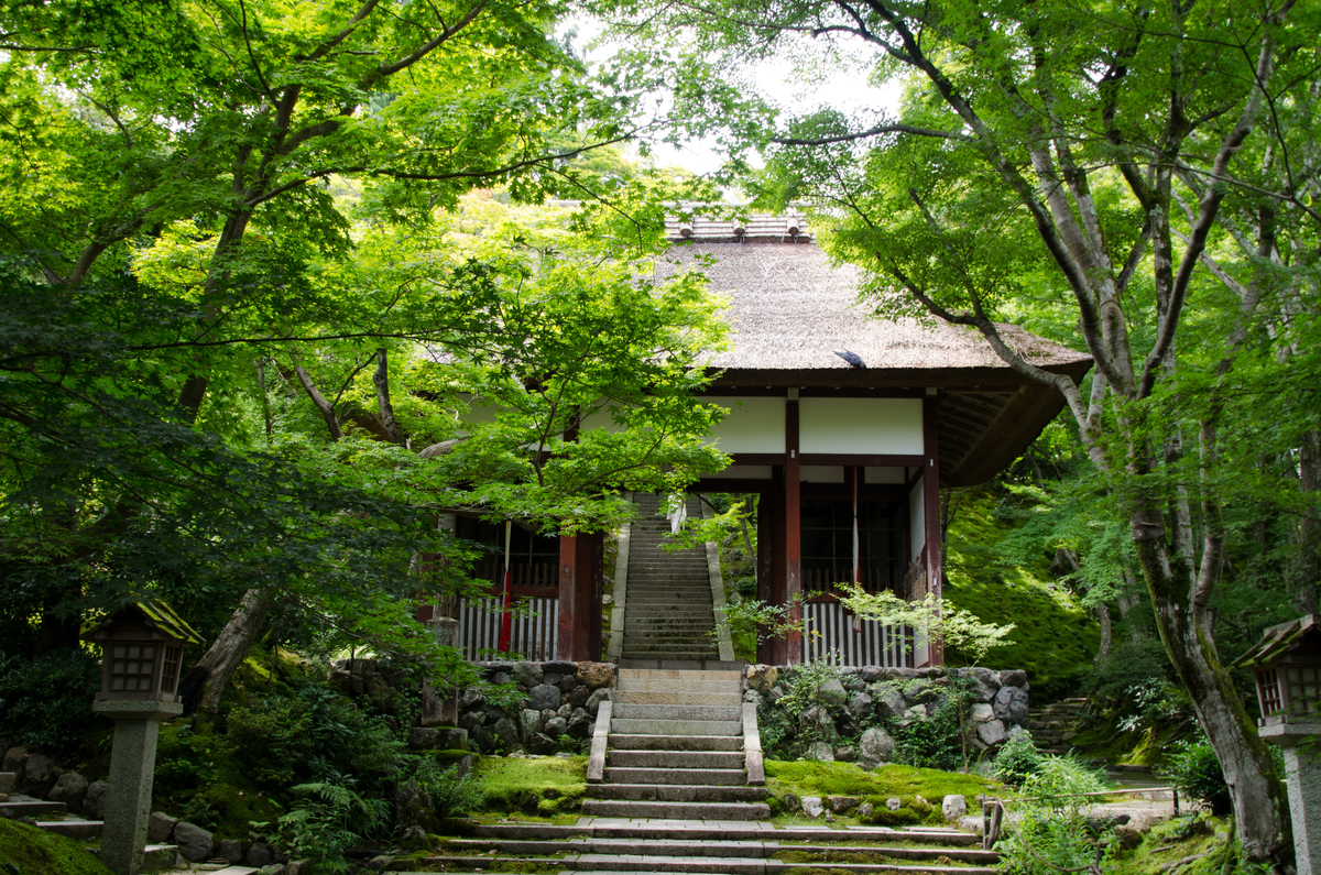 Nikon D5100で撮った写真の数々 - カツヲのブログ