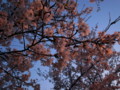 f:id:XYZ-D:20090402184809j:image:medium f:id:XYZ-D:20090402184809j:image:medium