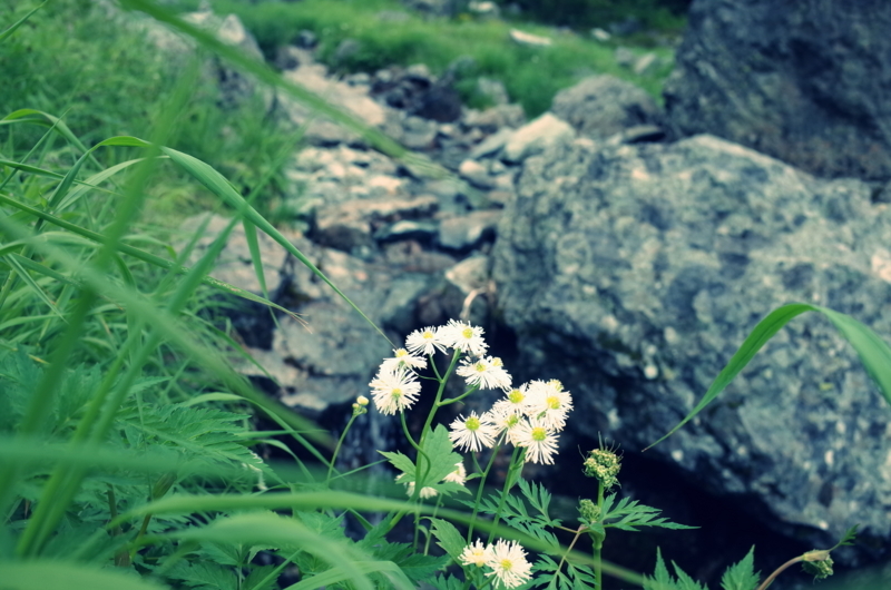 f:id:X_Y_Z:20180807085225j:image f:id:X_Y_Z:20180807085225j:image