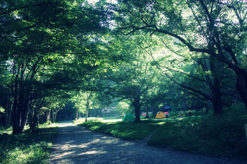f:id:X_Y_Z:20180808064931j:image f:id:X_Y_Z:20180808064931j:image