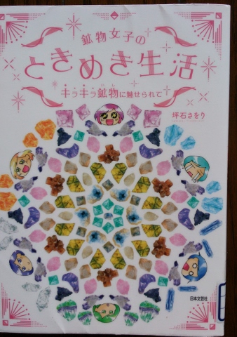 イメージ 7
