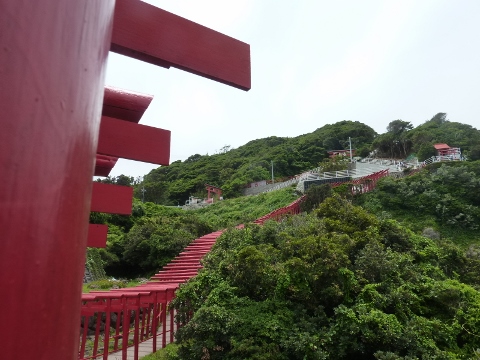 イメージ 7