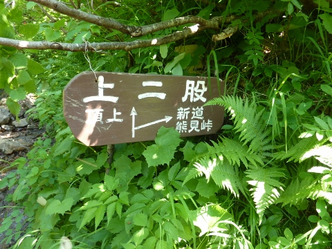 イメージ 18
