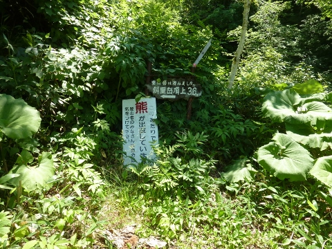 イメージ 5