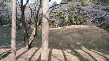 イメージ 19
