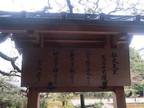 f:id:Xiaoren:20200323175441j:plain