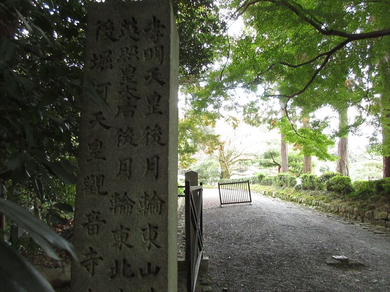 f:id:Xiaoren:20201129093256j:plain