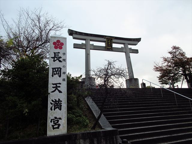 f:id:Xiaoren:20211113195344j:plain