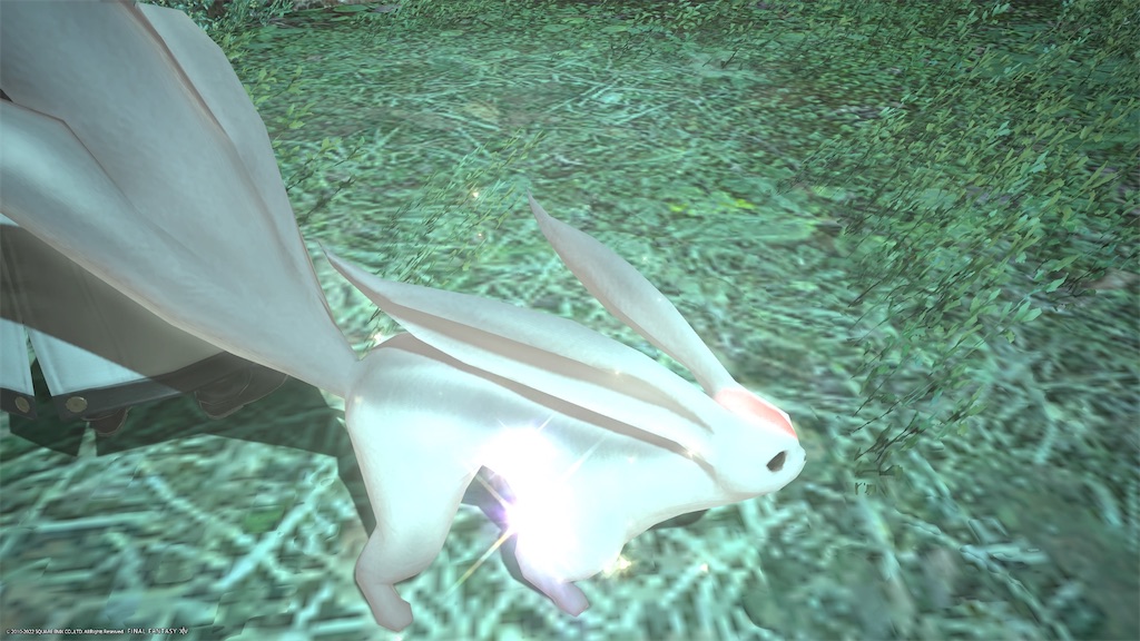 f:id:Xion_M:20221025195558j:image