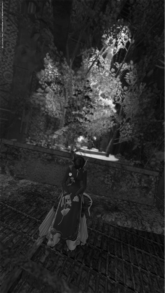 f:id:Xion_M:20221230223542j:image