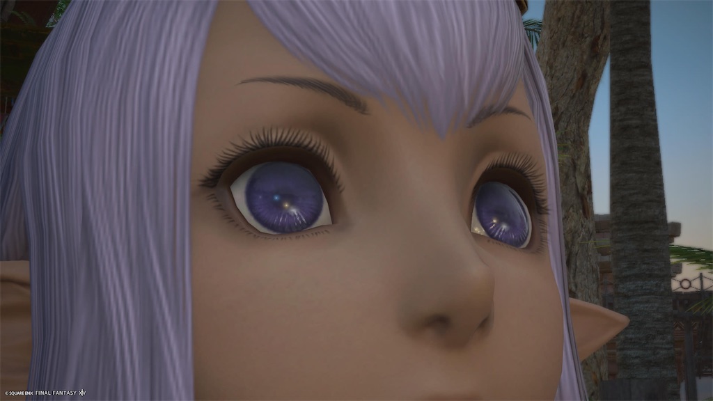 f:id:Xion_M:20241231172228j:image