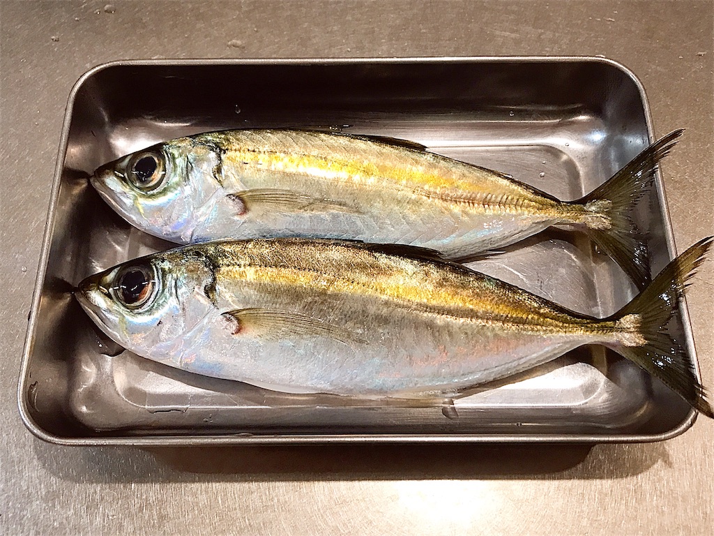 メアジ, アジ, 目鯵