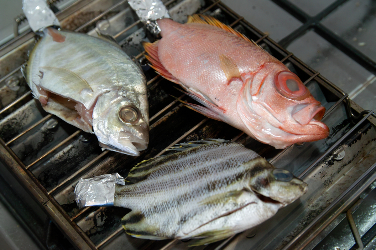 カゴカキダイ, カイワリ, キントキ, 金時, 熱海, 網代