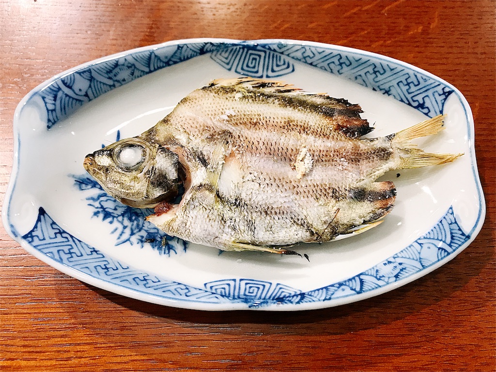 カゴカキダイ, 熱海, 網代