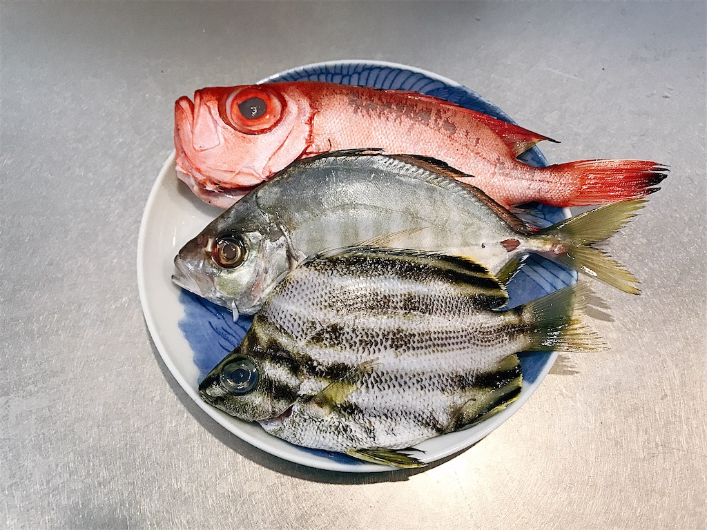 キントキ・カイワリアジ・カゴカキダイ, 熱海, 網代