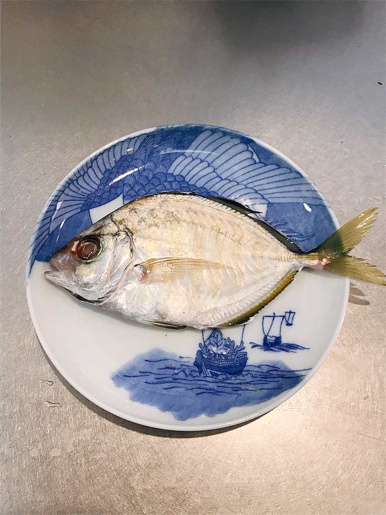 カイワリ, カイワリアジ, 熱海, 網代