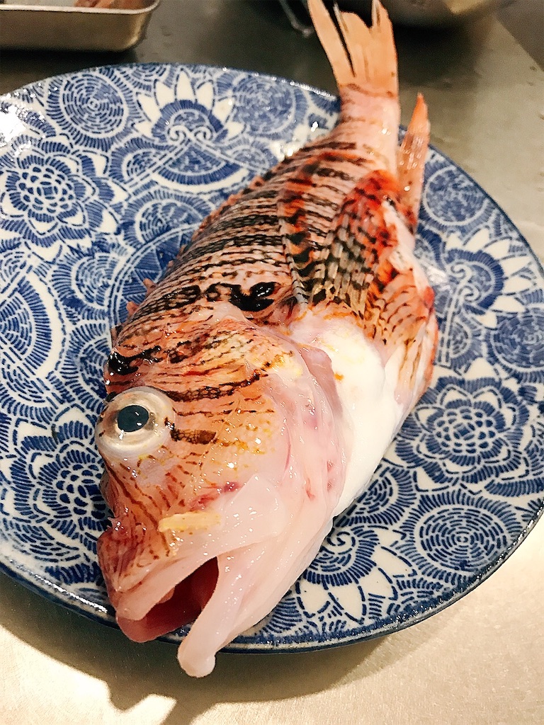 ミノカサゴ