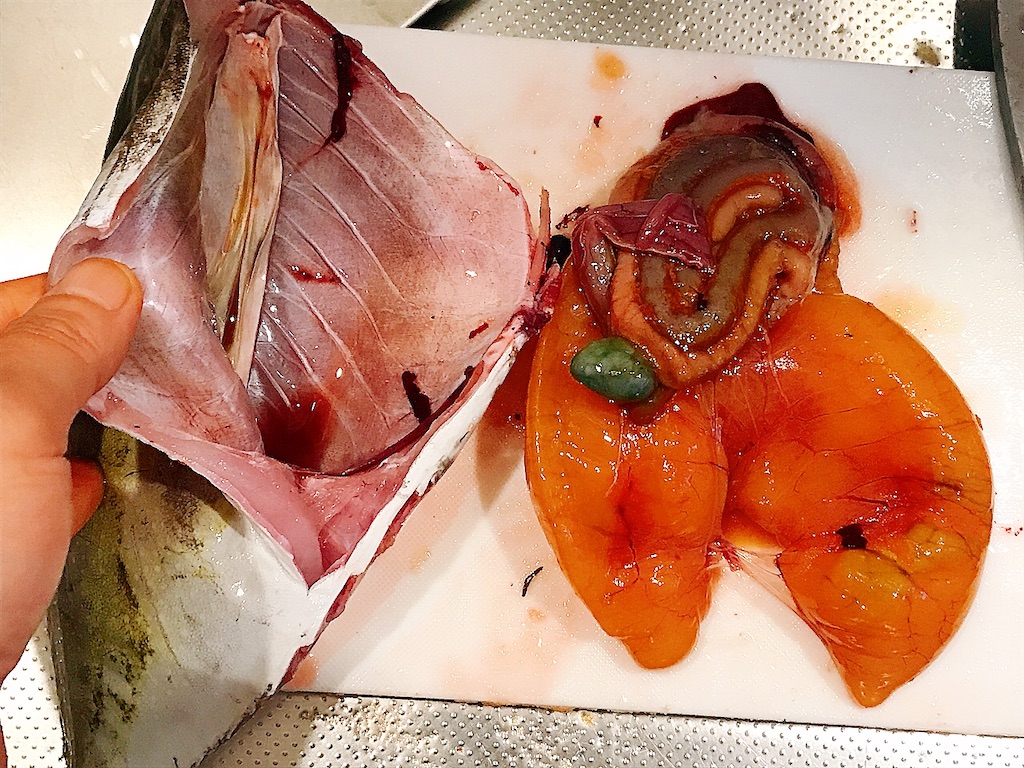 アイゴ