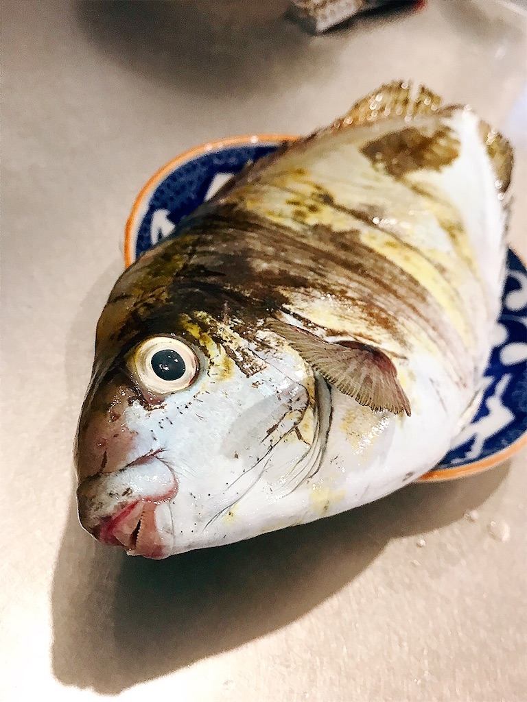 アイゴ