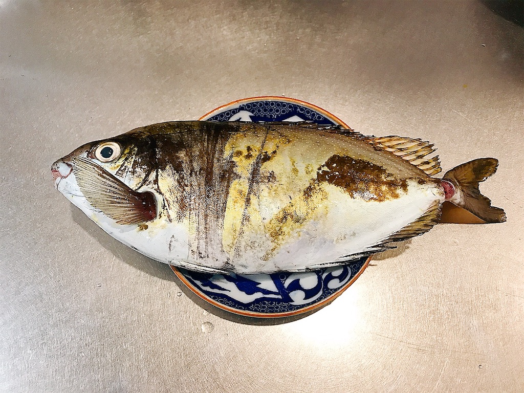 アイゴ