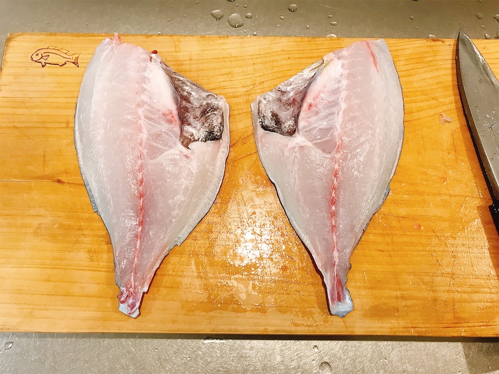 サンノジ,ニザダイ, 磯魚, 真鶴, 熱海