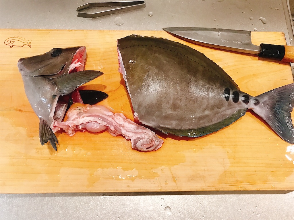 サンノジ,ニザダイ, 磯魚, 真鶴, 熱海